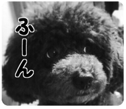 SENA's Friends sticker #14054844