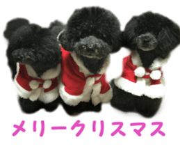 SENA's Friends sticker #14054845