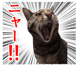 mew pets sticker #14055310