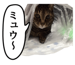 mew pets sticker #14055317