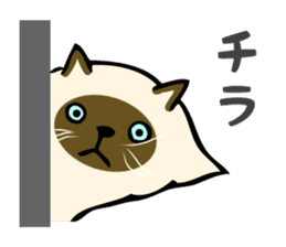 I am Tanu. sticker #14055537