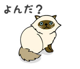I am Tanu. sticker #14055544