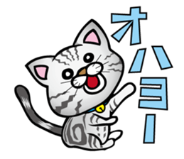 My sweet cat JUN sticker #14055994