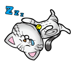 My sweet cat JUN sticker #14055997