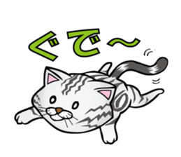 My sweet cat JUN sticker #14056000