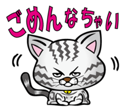 My sweet cat JUN sticker #14056013