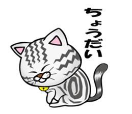 My sweet cat JUN sticker #14056018