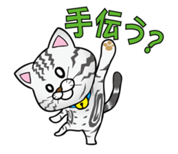 My sweet cat JUN sticker #14056020