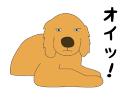 Golden Retrievers' cute stickers set 2 sticker #14056470