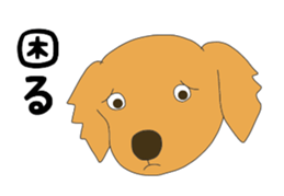 Golden Retrievers' cute stickers set 2 sticker #14056473