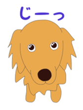 Golden Retrievers' cute stickers set 2 sticker #14056482