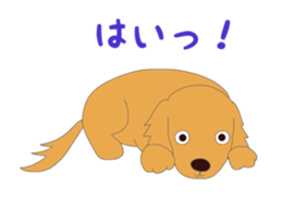 Golden Retrievers' cute stickers set 2 sticker #14056484