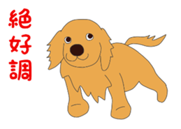 Golden Retrievers' cute stickers set 2 sticker #14056490