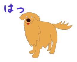 Golden Retrievers' cute stickers set 2 sticker #14056492