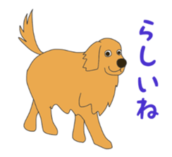 Golden Retrievers' cute stickers set 2 sticker #14056494