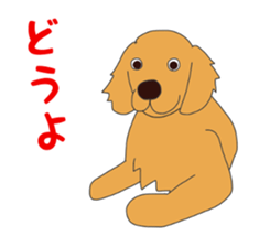 Golden Retrievers' cute stickers set 2 sticker #14056496
