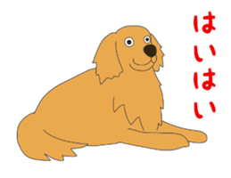Golden Retrievers' cute stickers set 2 sticker #14056500