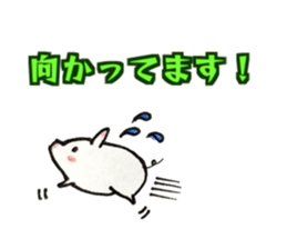 Cute little pig Shiro chan sticker #14056531