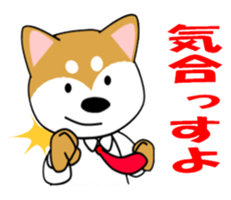 Shiba dog is a company employee sticker #14057487