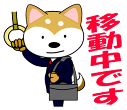 Shiba dog is a company employee sticker #14057497