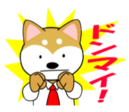 Shiba dog is a company employee sticker #14057499