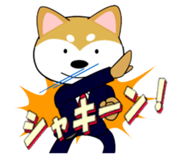 Shiba dog is a company employee sticker #14057512