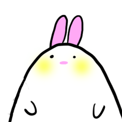 You May Love This Cute Rabbit