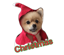 pomeranian shin-chan part2 sticker #14058014