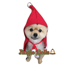 pomeranian shin-chan part2 sticker #14058015