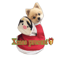 pomeranian shin-chan part2 sticker #14058016
