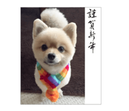 pomeranian shin-chan part2 sticker #14058018