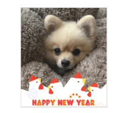 pomeranian shin-chan part2 sticker #14058019