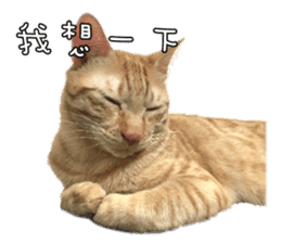 Mr.Mr Meow Meow sticker #14059180