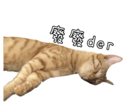 Mr.Mr Meow Meow sticker #14059191