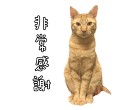 Mr.Mr Meow Meow sticker #14059193