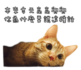 Mr.Mr Meow Meow sticker #14059197