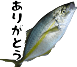 fishingsticker sticker #14059585