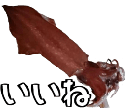 fishingsticker sticker #14059587