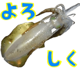 fishingsticker sticker #14059588