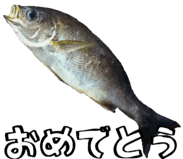 fishingsticker sticker #14059591
