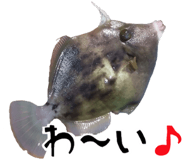 fishingsticker sticker #14059595