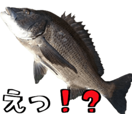 fishingsticker sticker #14059599