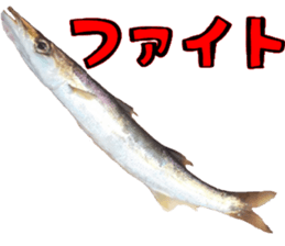 fishingsticker sticker #14059601