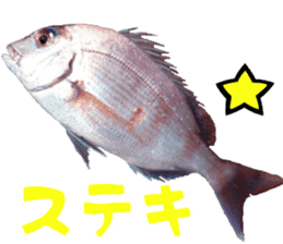 fishingsticker sticker #14059603