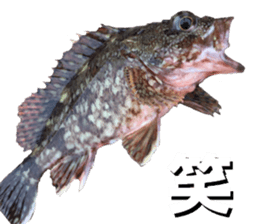 fishingsticker sticker #14059604