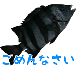 fishingsticker sticker #14059606