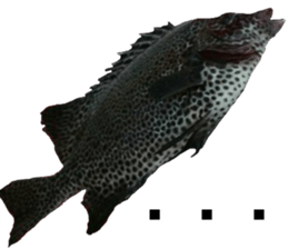 fishingsticker sticker #14059614