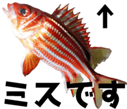 fishingsticker sticker #14059615