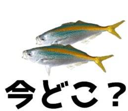 fishingsticker sticker #14059616