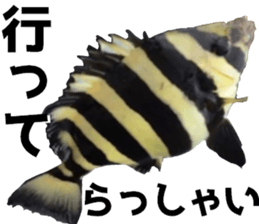 fishingsticker sticker #14059619